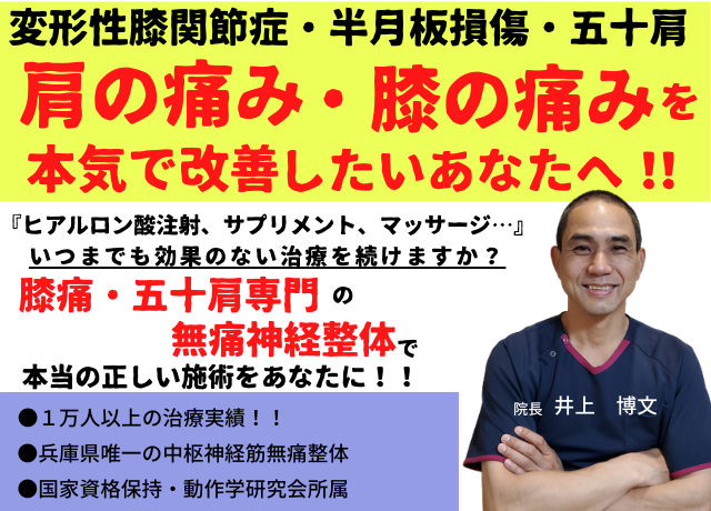 神戸市北区 三田市 西宮市 膝痛 腰痛 五十肩専門 信頼と安心度no 1整体ふじもと ふじもと整骨院 無痛の中枢神経整体で身体の痛みをとる西宮北部の整体 院